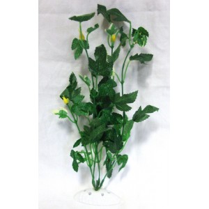 Rostlina serie APS 12" in blister box - DOPRODEJ